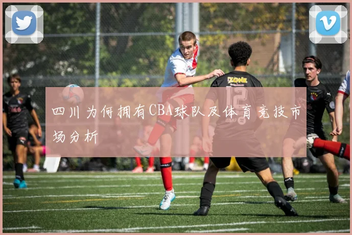 四川为何拥有CBA球队及体育竞技市场分析