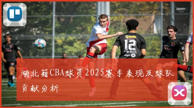 湖北籍CBA球员2025赛季表现及球队贡献分析
