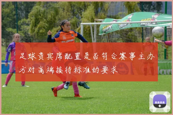 足球贵宾席配置是否符合赛事主办方对高端接待标准的要求